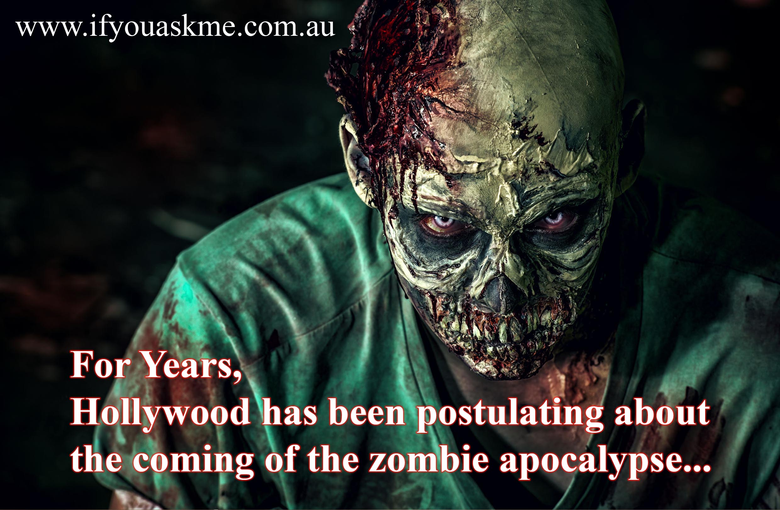 Zombie Apocalypse? Or Terrorist Apocalypse?