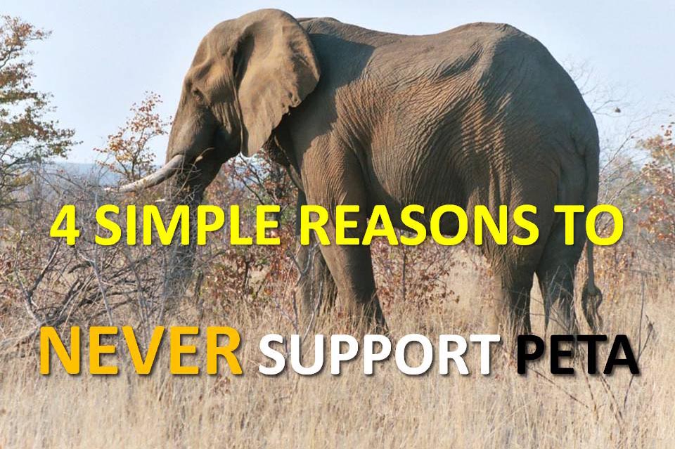4 Simple Reasons to NEVER Support PETA